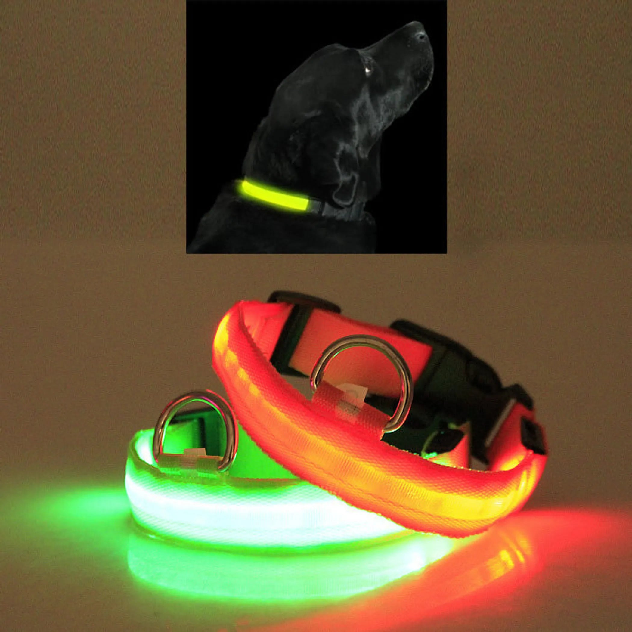LED Collar