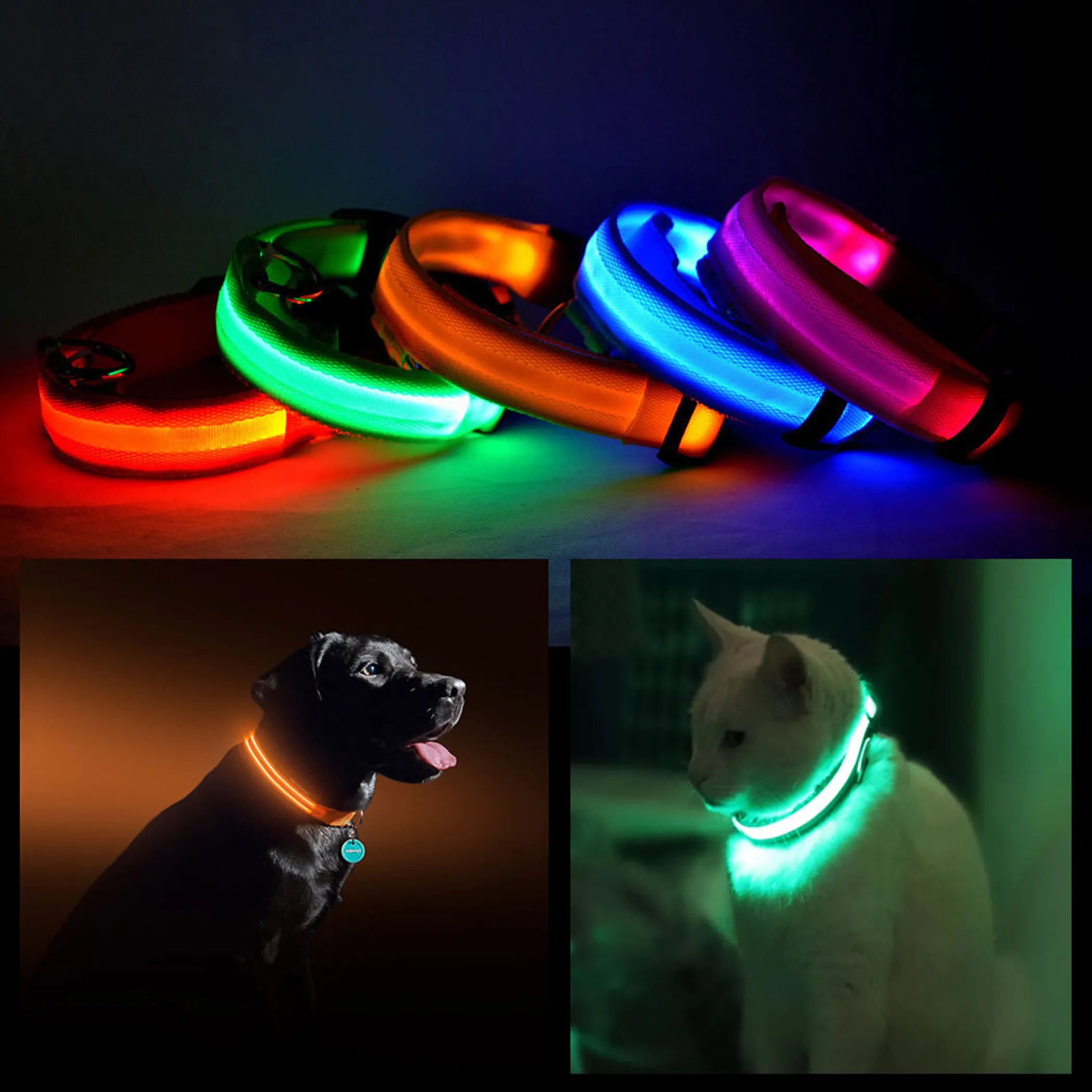 LED Collar