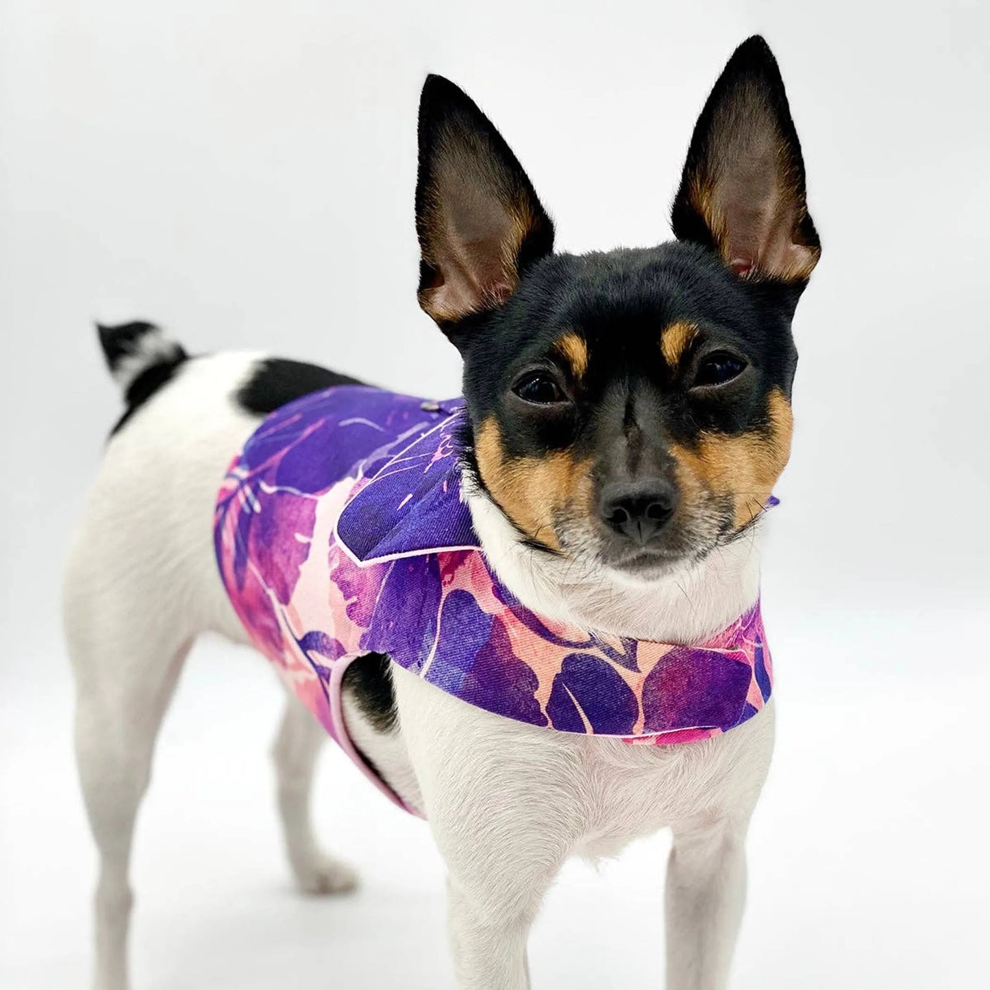 DCNY Purple Hibiscus Vest-Style Harness