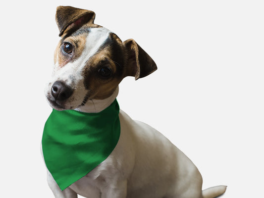 Solid Green Bandana
