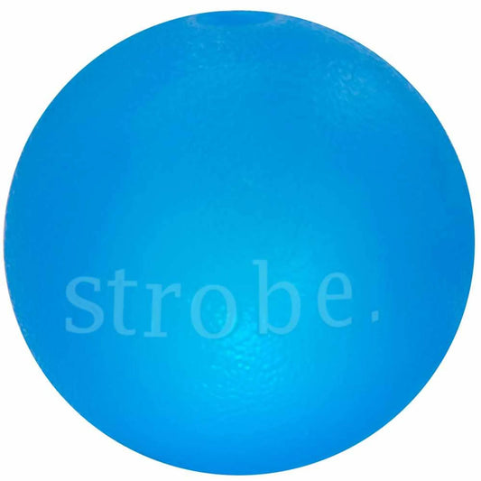 Strobe Ball Light Up Dog Toy
