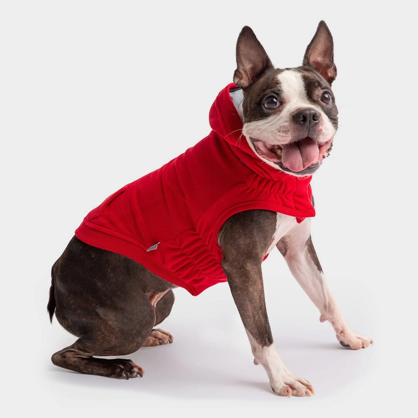 Urban Dog Hoodie