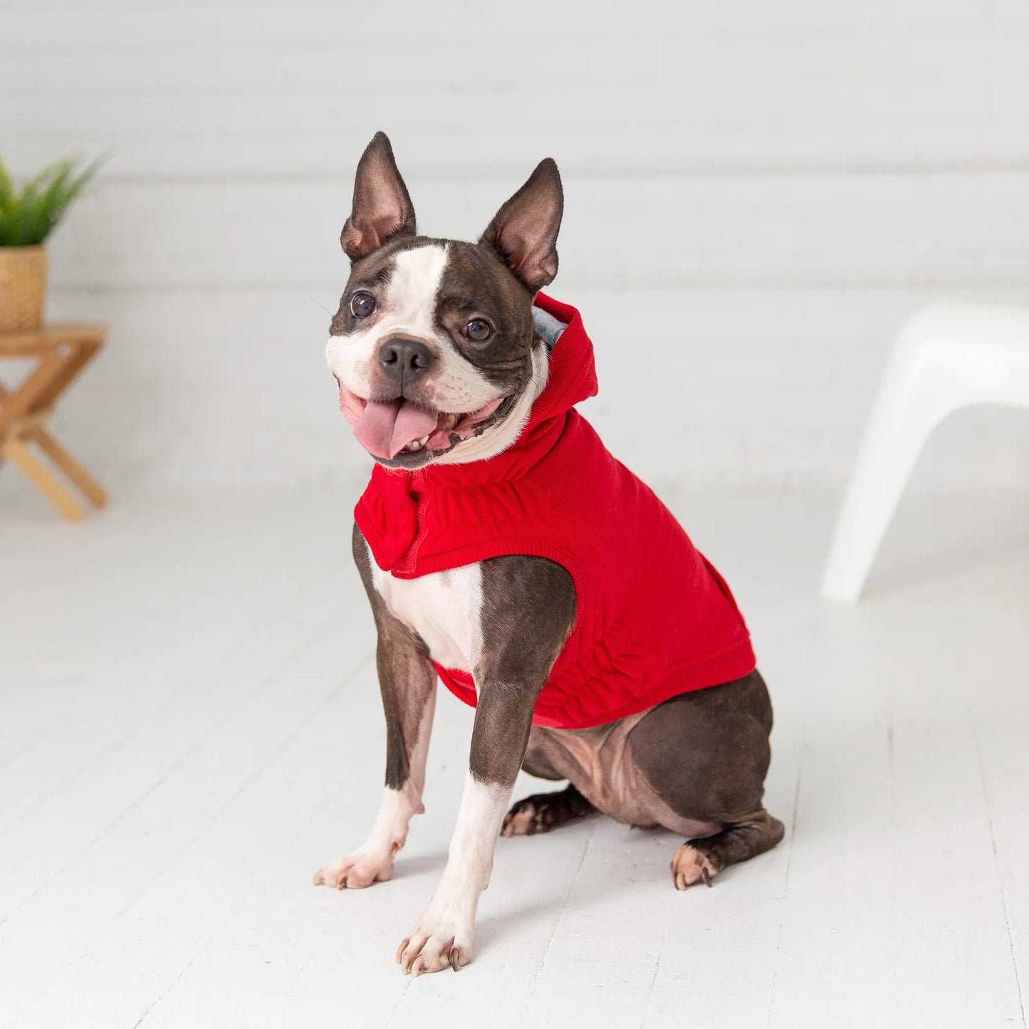 Urban Dog Hoodie