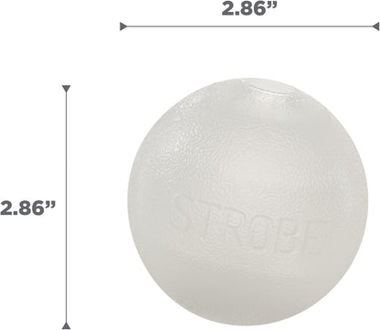 Strobe Ball LED Dog Toy - White
