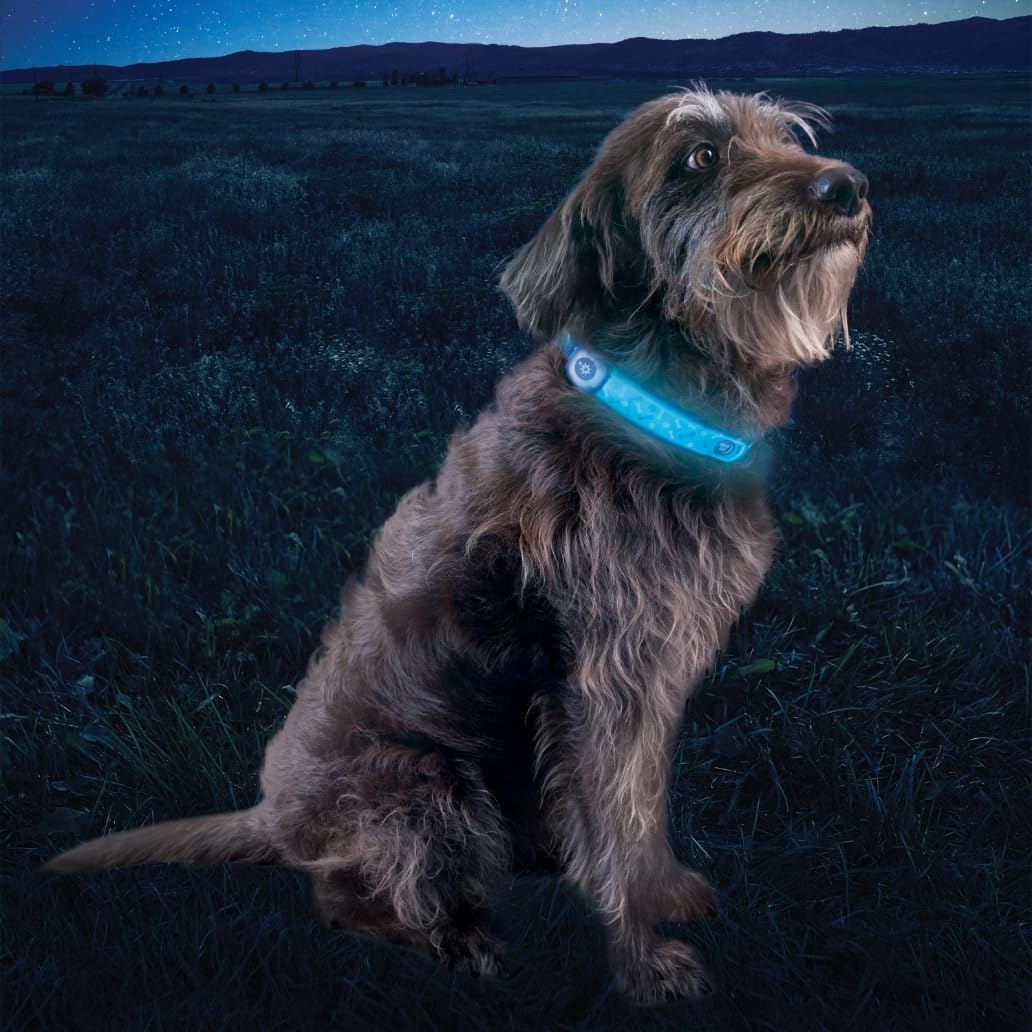 Rechargeable LED Collar Cover