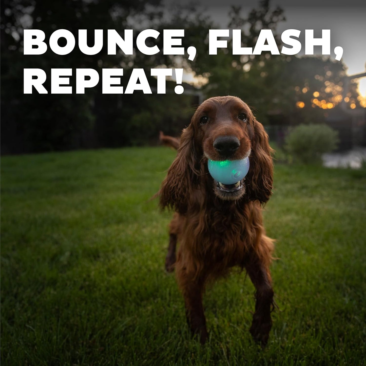Strobe Ball LED Dog Toy - White