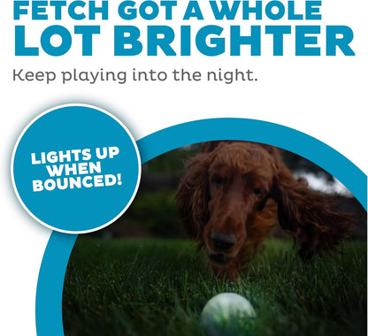 Strobe Ball LED Dog Toy