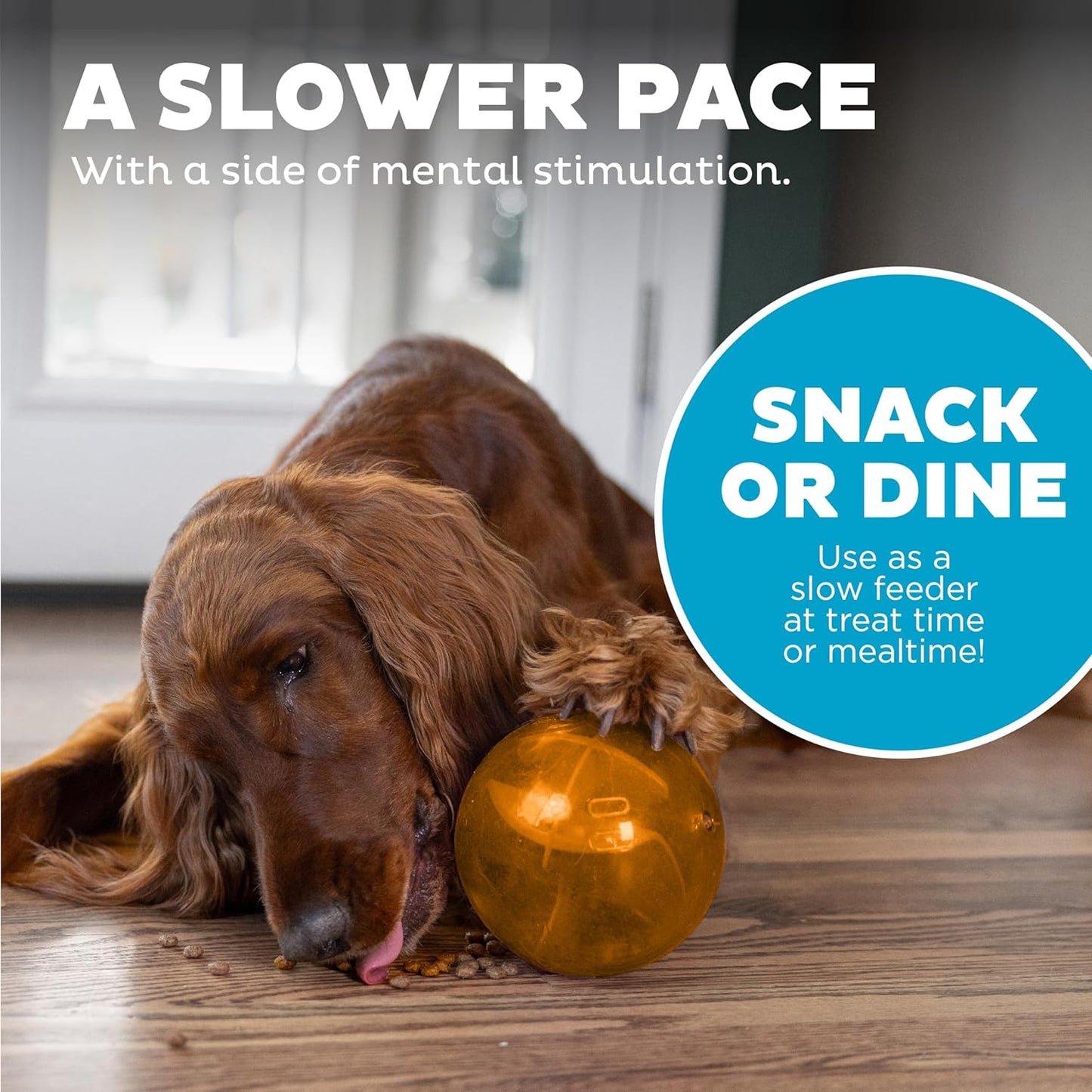 Treat Maze Ball