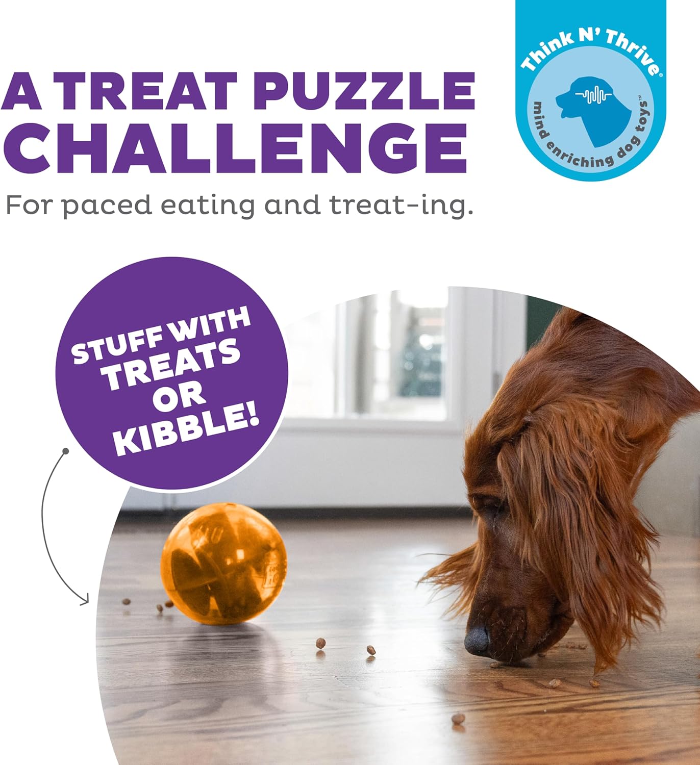 Treat Maze Ball