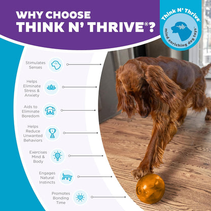 Treat Maze Ball
