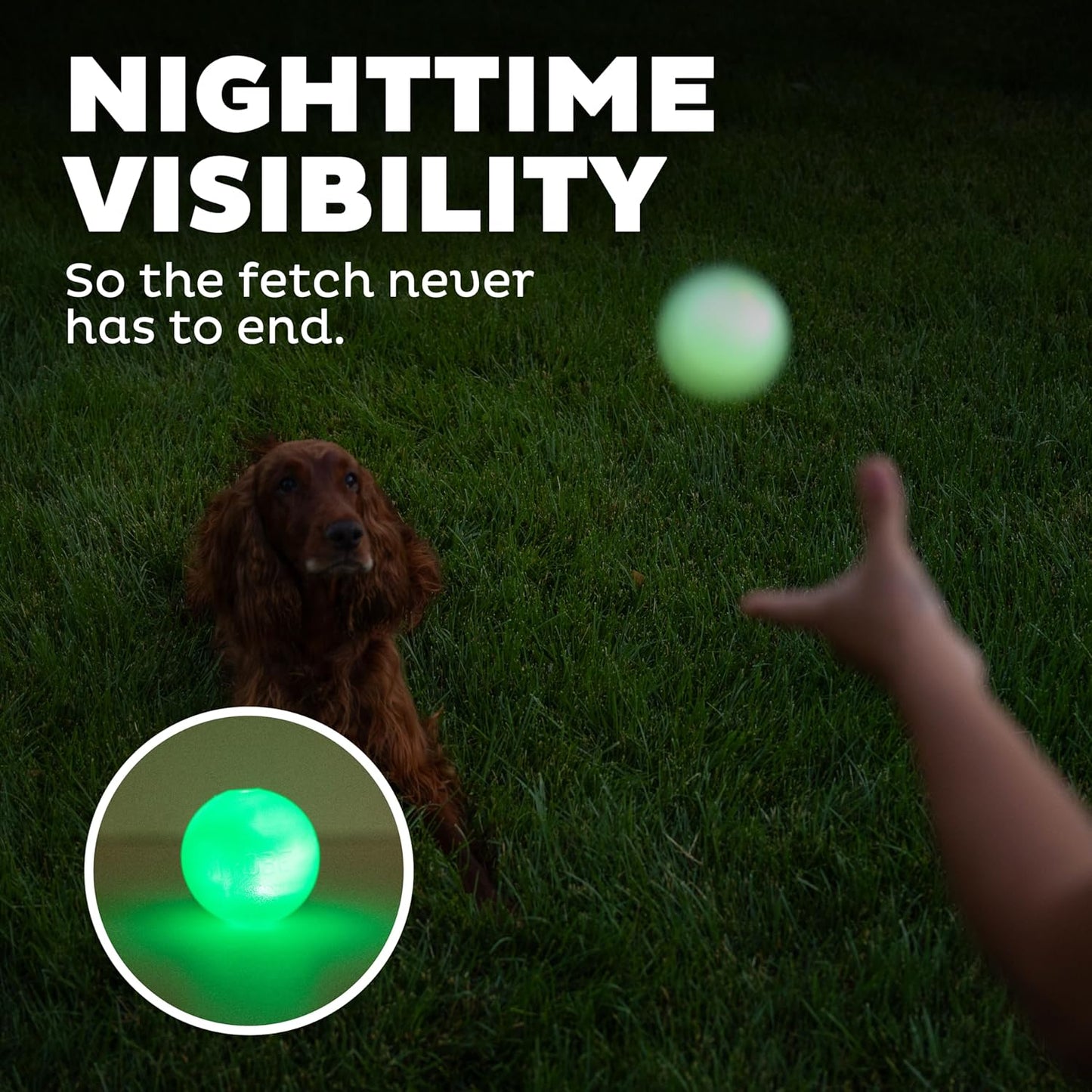 Strobe Ball LED Dog Toy