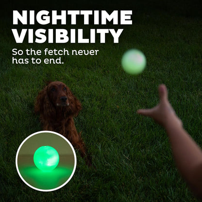Strobe Ball LED Dog Toy