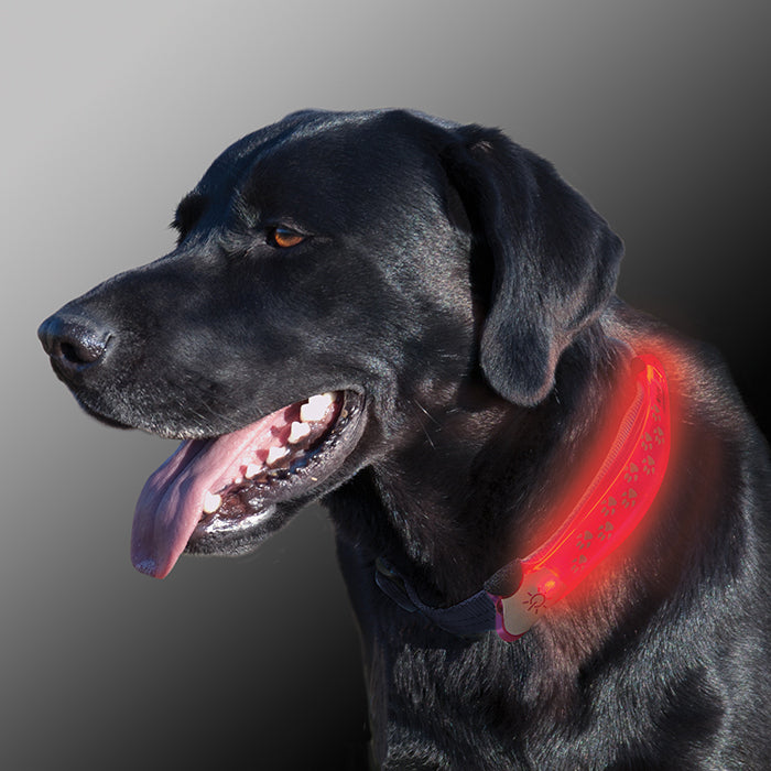 LED Collar Cover - Grey