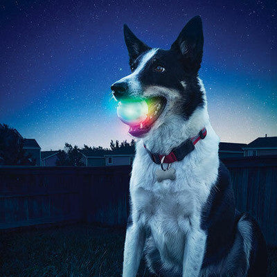 LED Glow Ball
