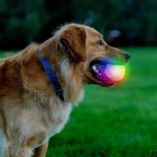 Color Changing LED Ball